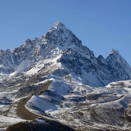 Stella Alpina Ostana